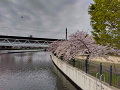IMG_2023-04-03-07-57-44-481_thumb.png