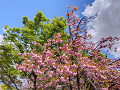 IMG_2023-04-08-12-28-04-396_thumb.png