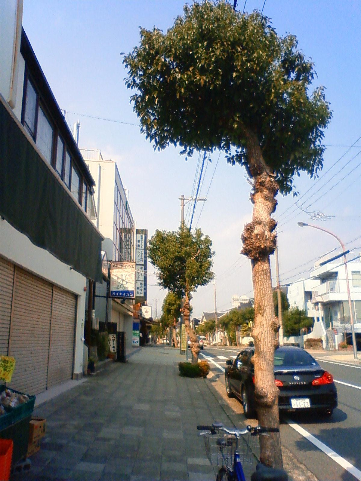 NEC_0508.JPG