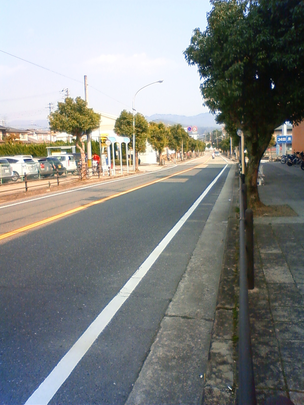 NEC_0511.JPG