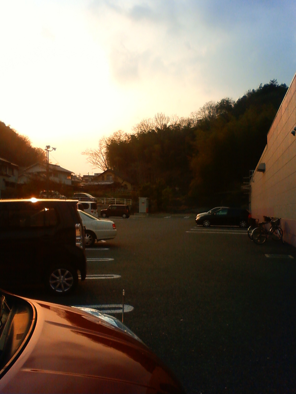 NEC_0515.JPG