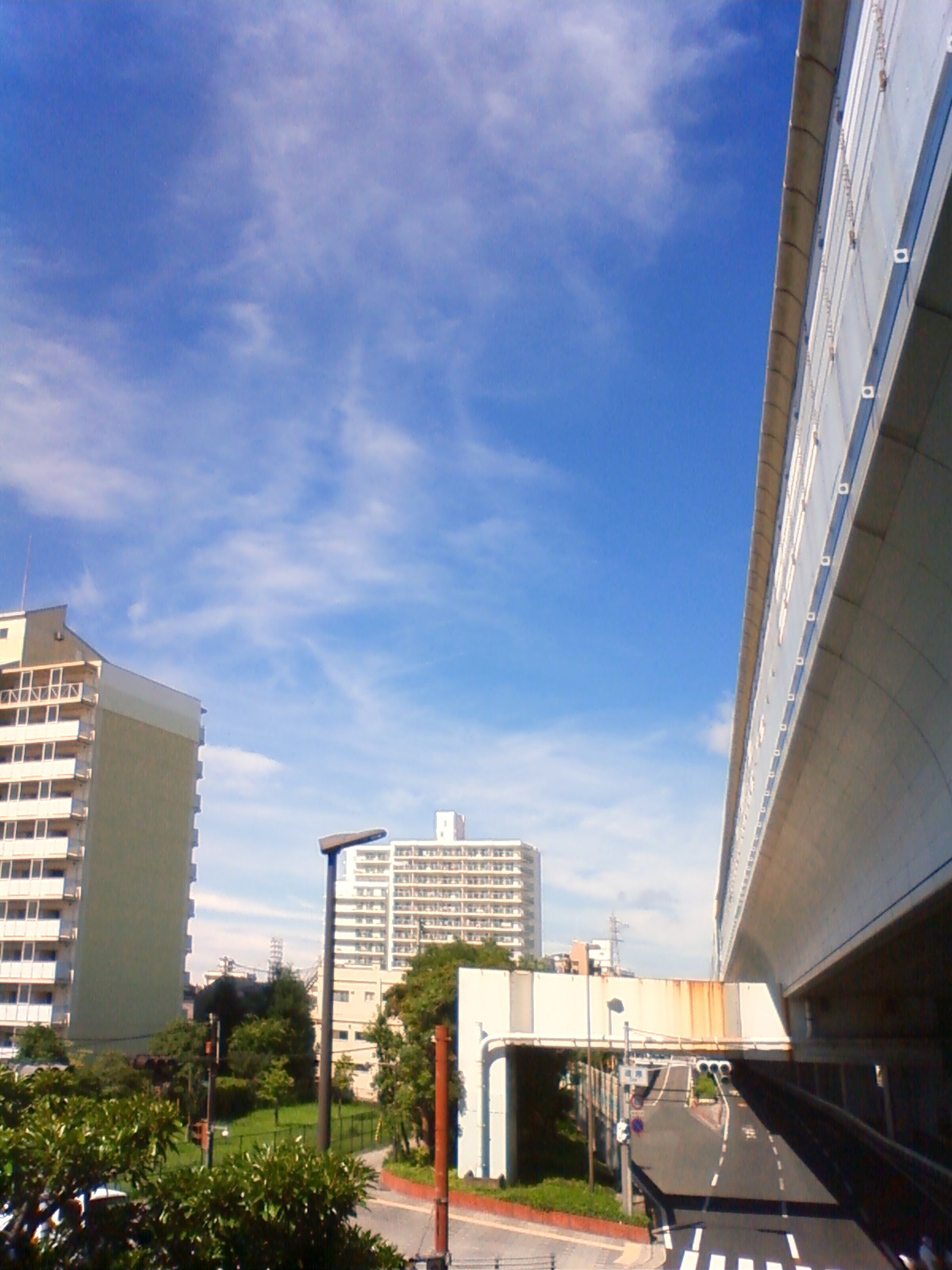 NEC_1371.JPG