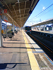 NEC_0104_thumb.png