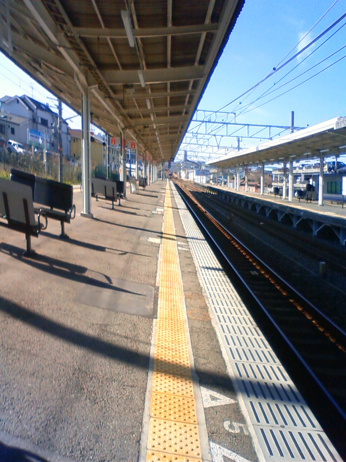 NEC_0106.JPG