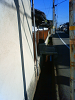 NEC_0109_thumb.png