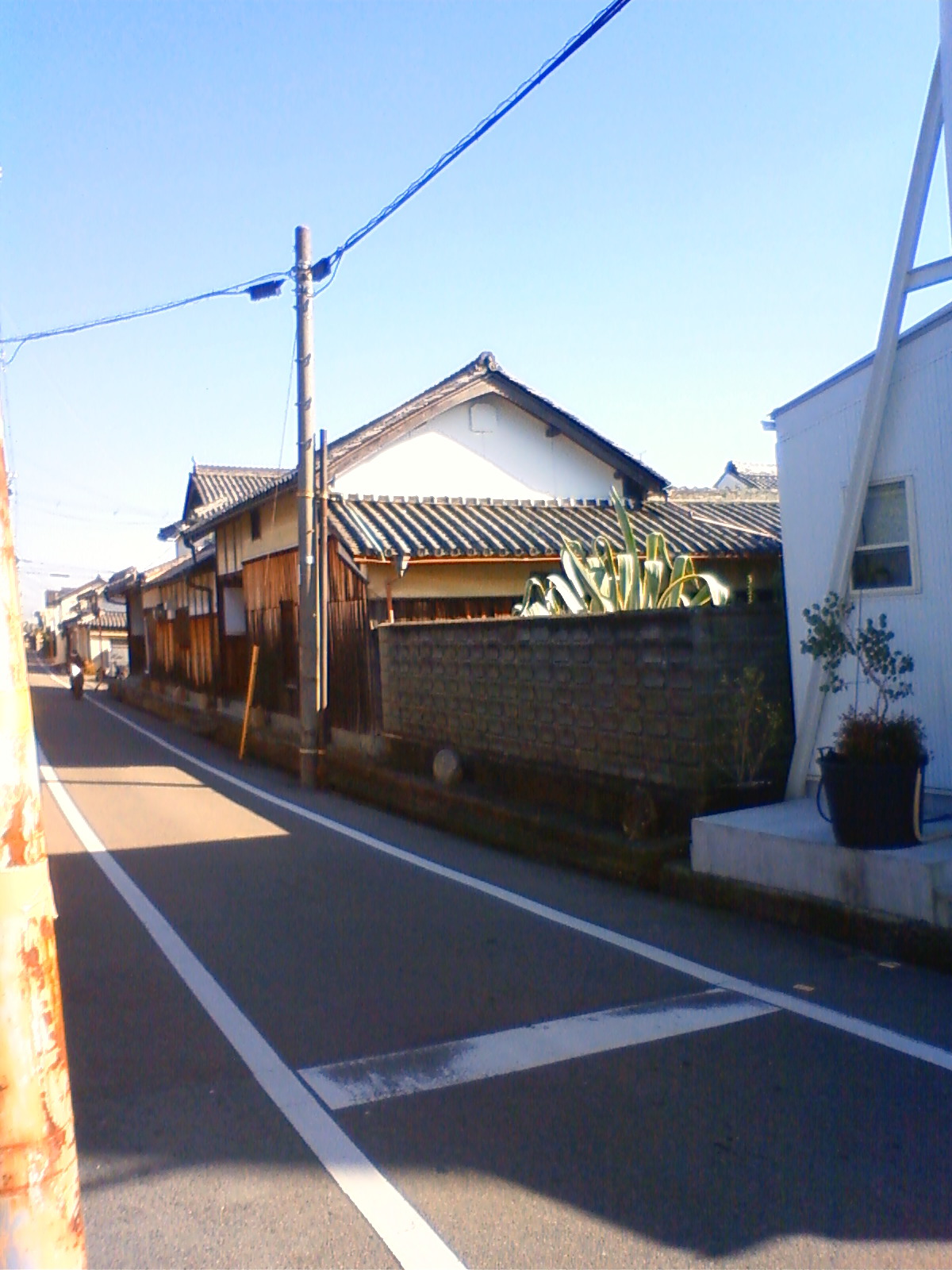 NEC_0110.JPG