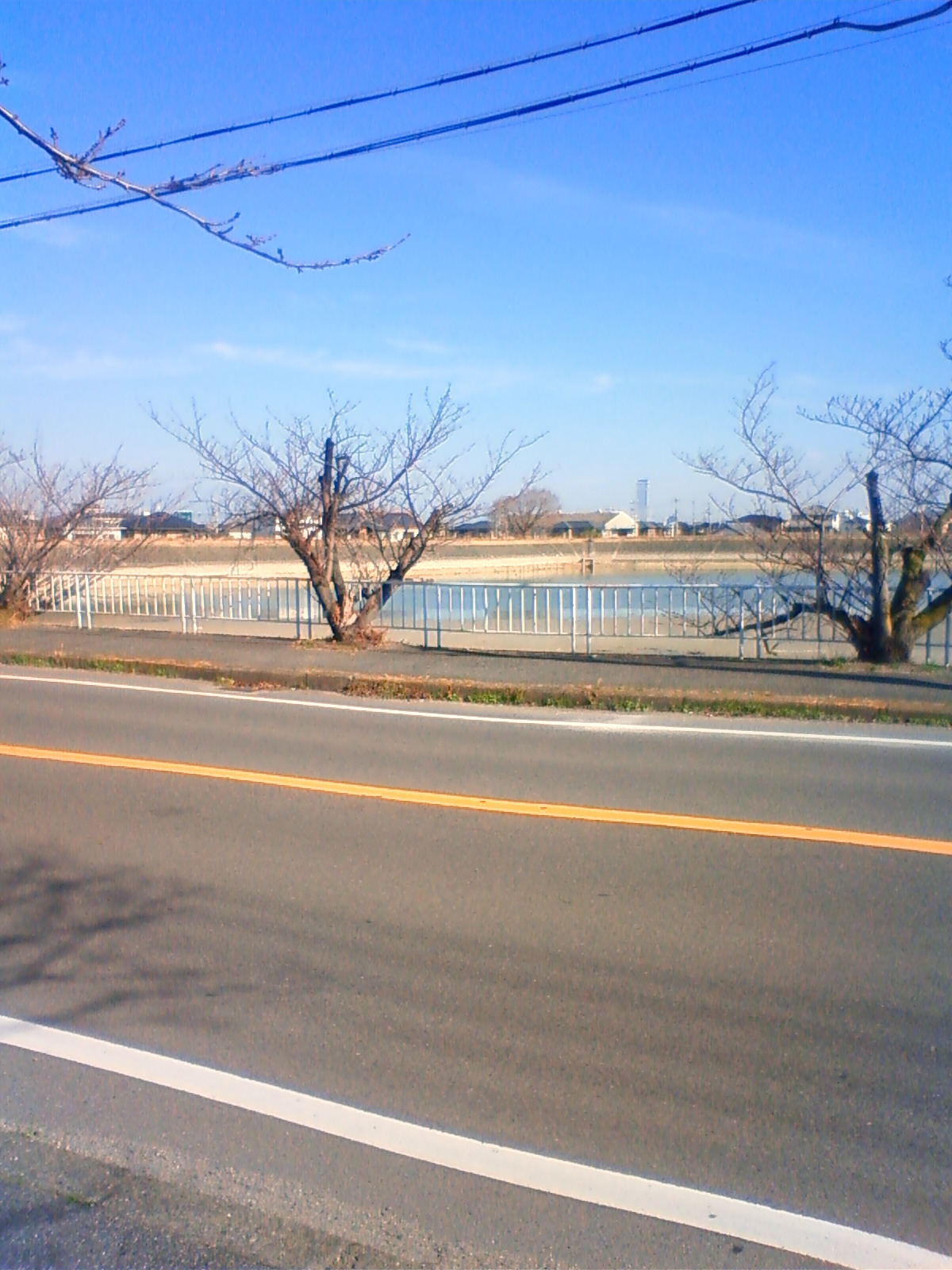 NEC_0116.JPG
