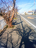 NEC_0119_thumb.png