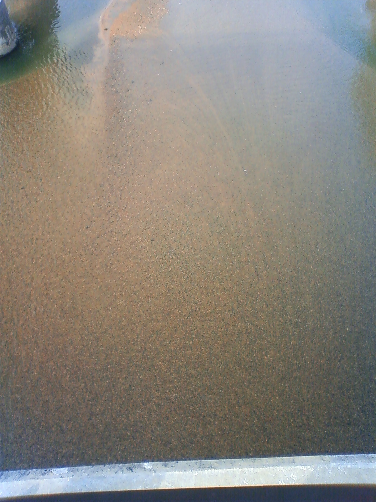 NEC_0197.JPG