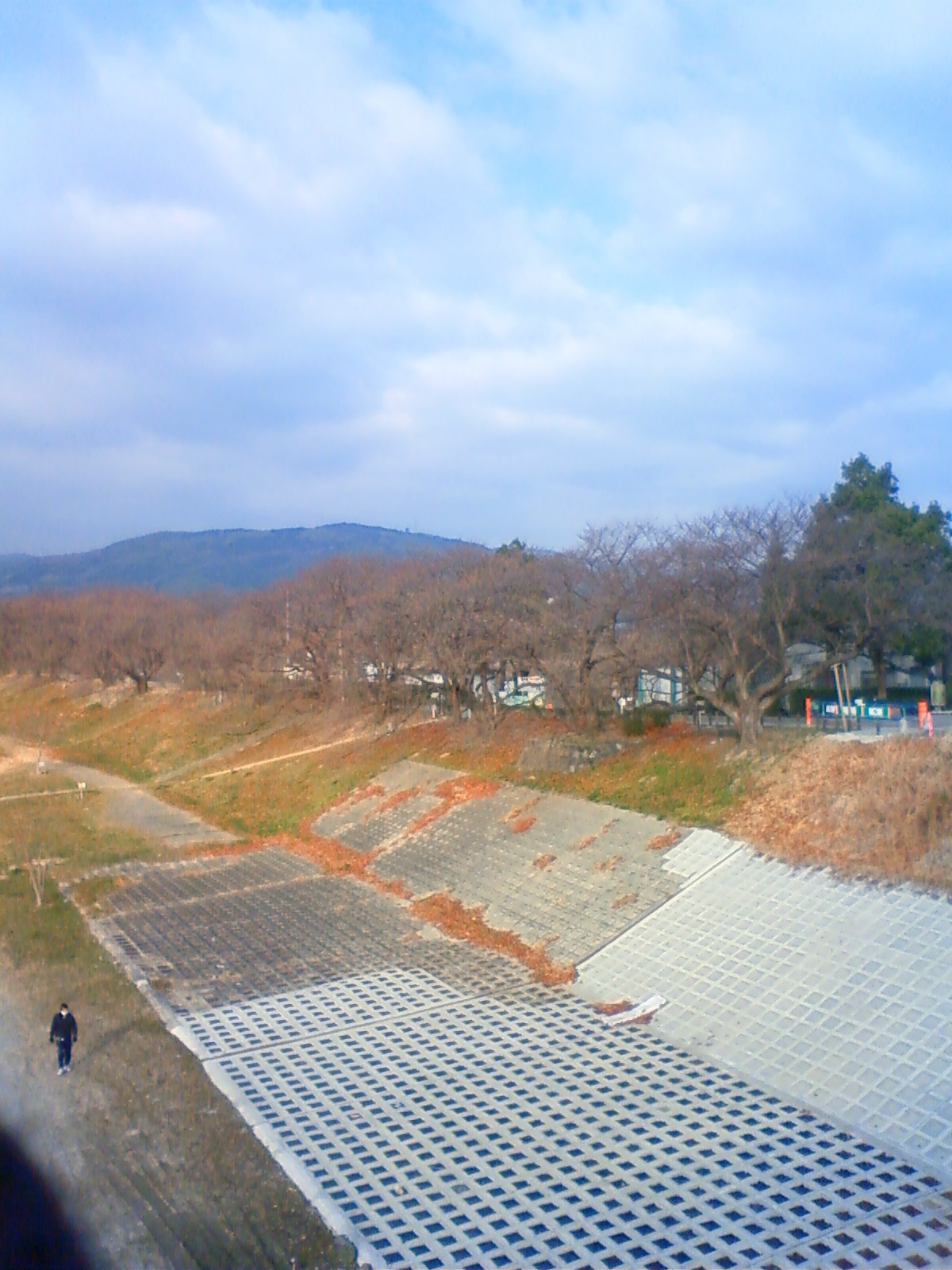 NEC_0198.JPG