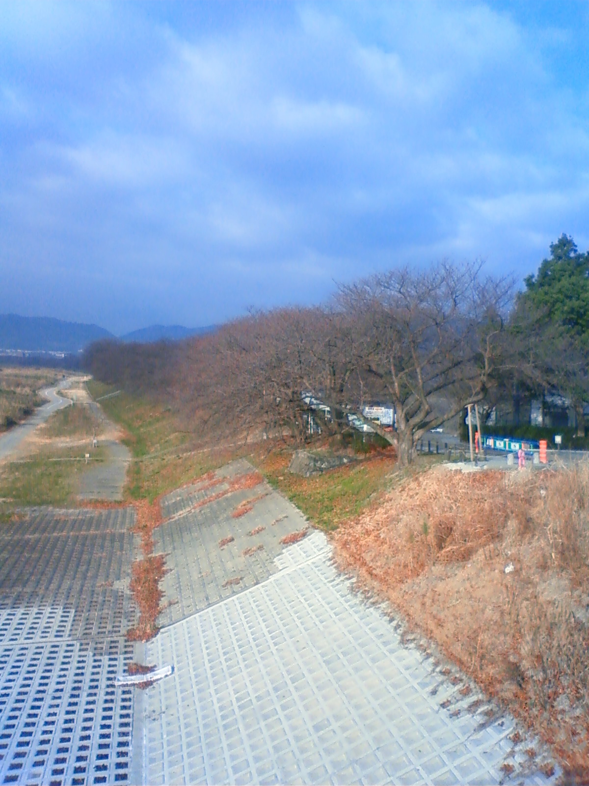 NEC_0199.JPG