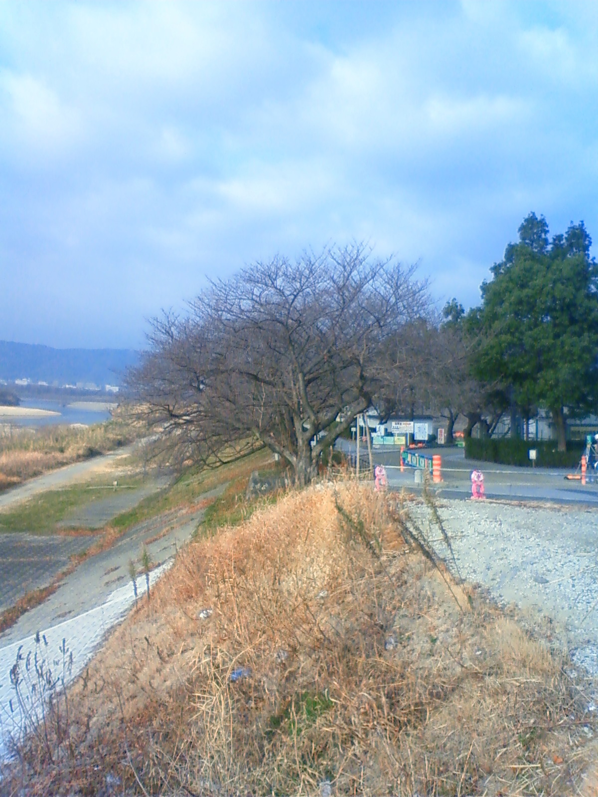 NEC_0200.JPG
