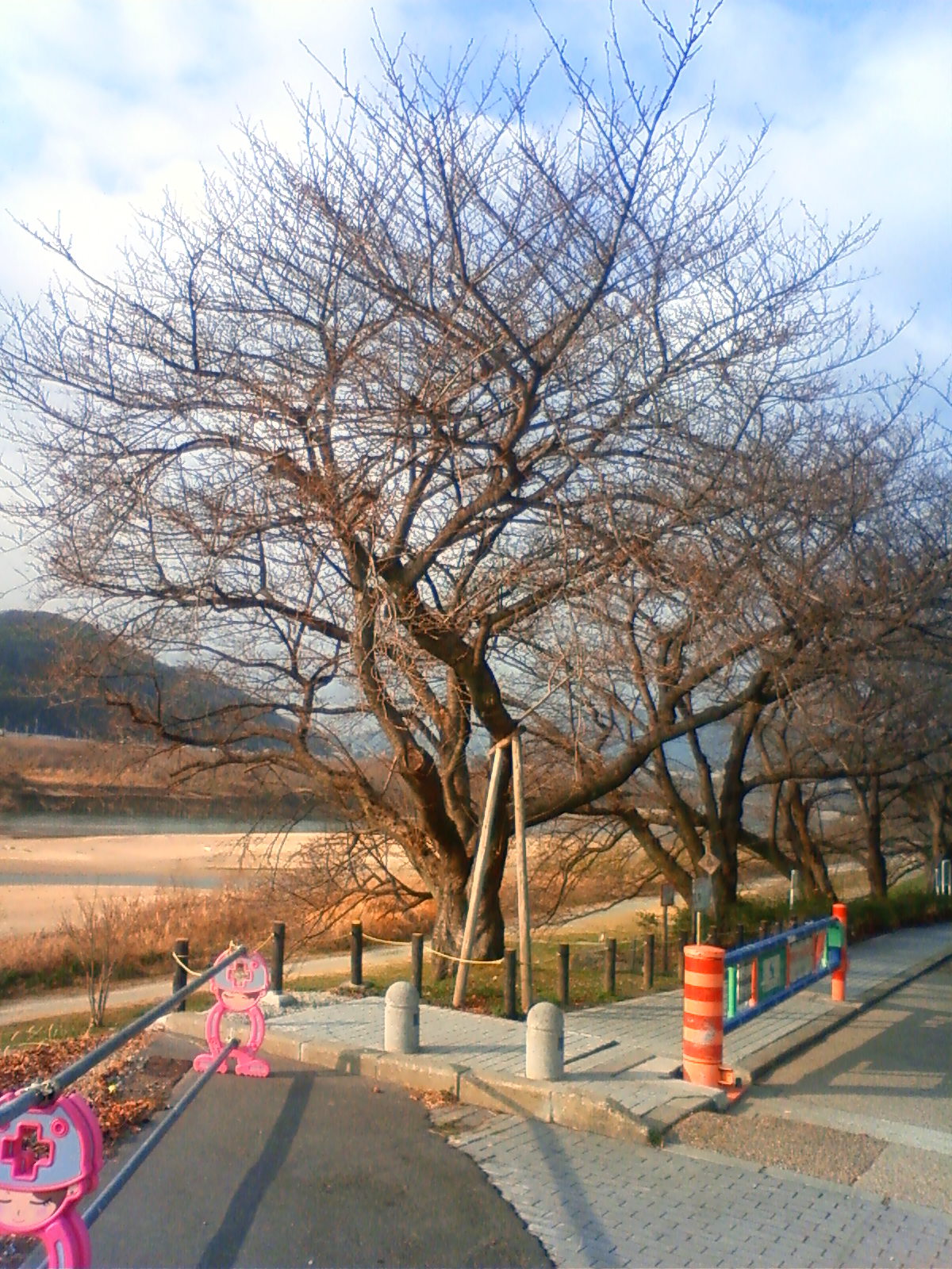 NEC_0201.JPG