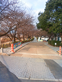 NEC_0202_thumb.png