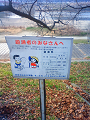 NEC_0203_thumb.png