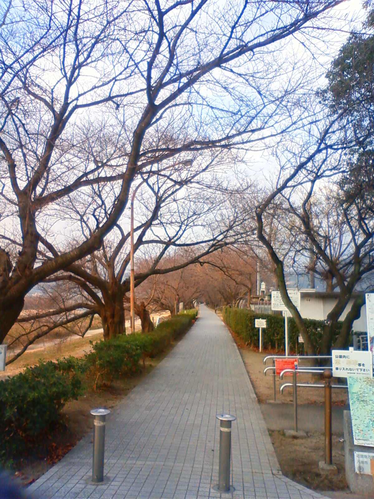 NEC_0204.JPG