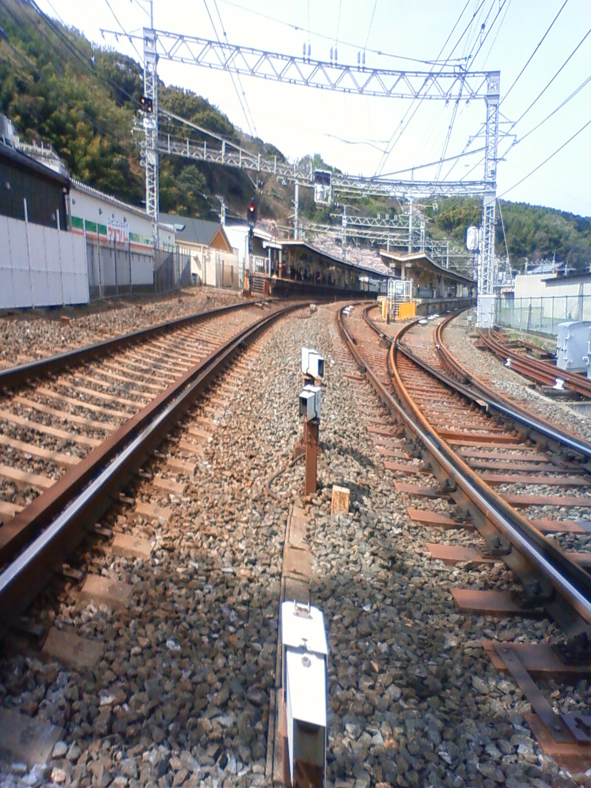 NEC_1889.JPG