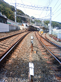 NEC_1889_thumb.png