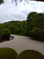 IMG_2025-07-18-14-57-25-859_thumb.png