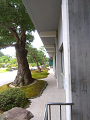 IMG_2025-07-18-15-41-18-072_thumb.png