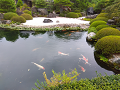 IMG_2025-07-18-15-42-58-690_thumb.png