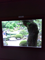 IMG_2025-07-18-15-45-50-013_thumb.png