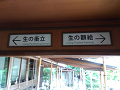 IMG_2025-07-18-15-46-00-768_thumb.png