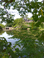 IMG_2025-07-19-10-16-01-147_thumb.png
