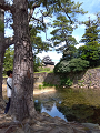 IMG_2025-07-19-10-18-02-253_thumb.png