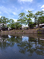 IMG_2025-07-19-10-37-43-932_thumb.png