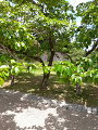 IMG_2025-07-19-11-25-51-440_thumb.png