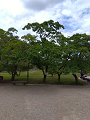 IMG_2025-07-19-12-07-51-480_thumb.png