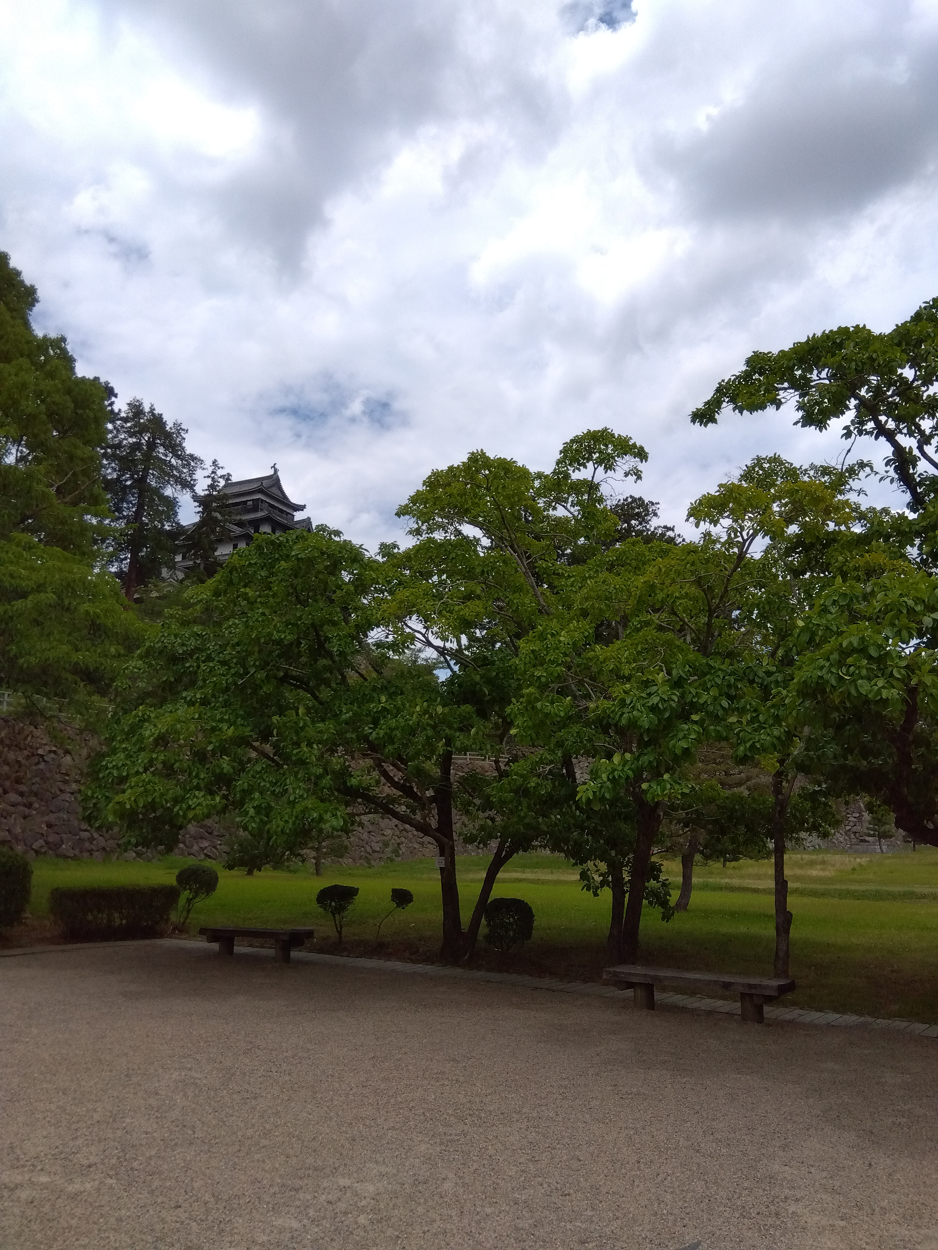 IMG_2025-07-19-12-07-56-279.jpg