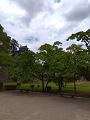 IMG_2025-07-19-12-07-56-279_thumb.png