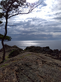 IMG_2025-07-19-16-22-57-871_thumb.png