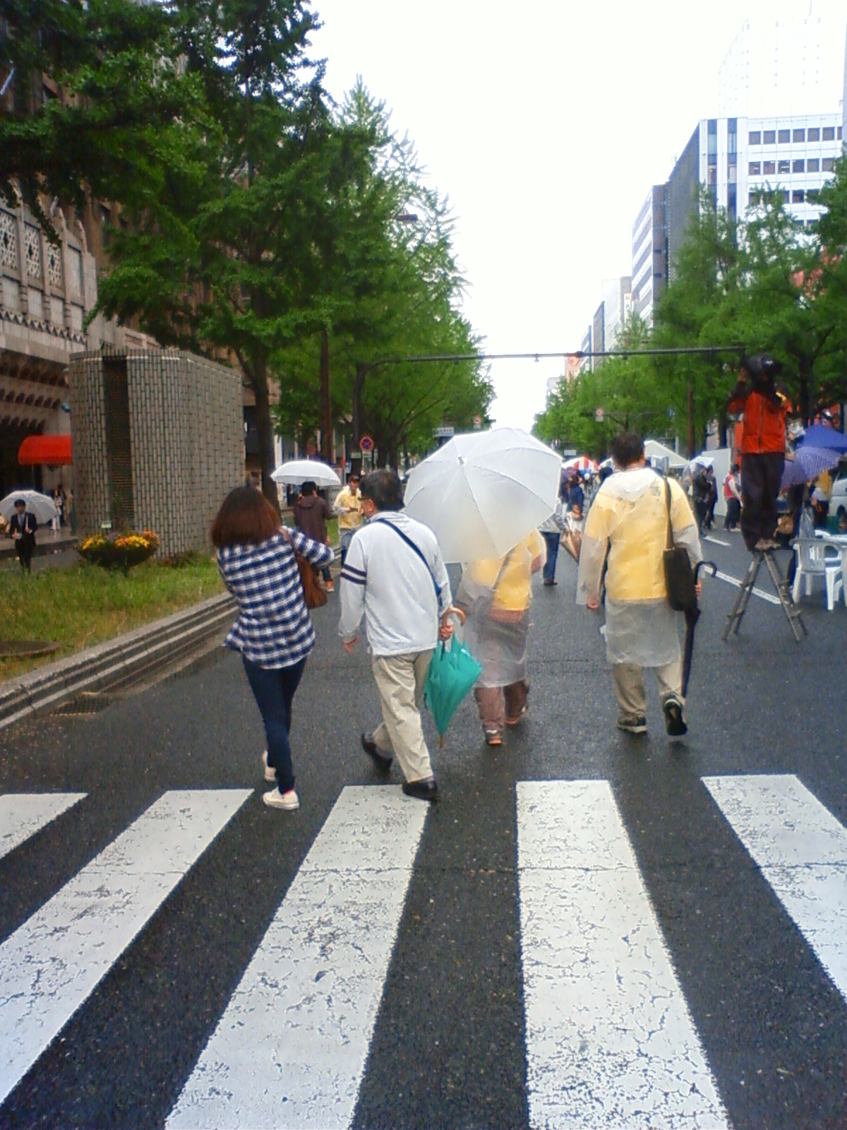 NEC_0588.JPG