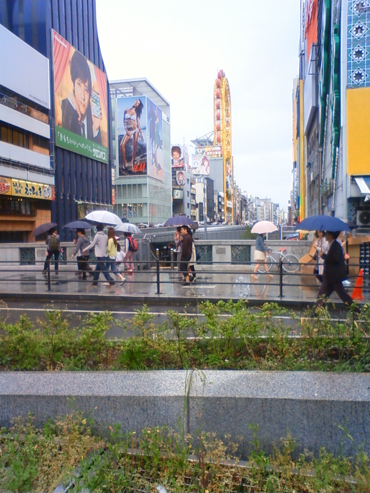 NEC_0594.JPG