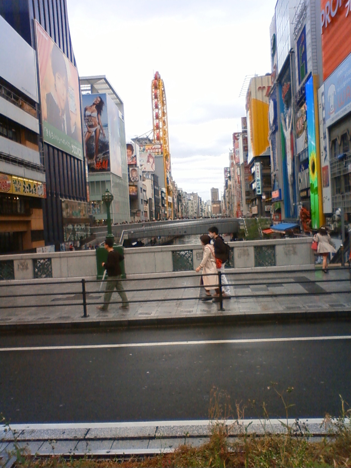 NEC_0599.JPG