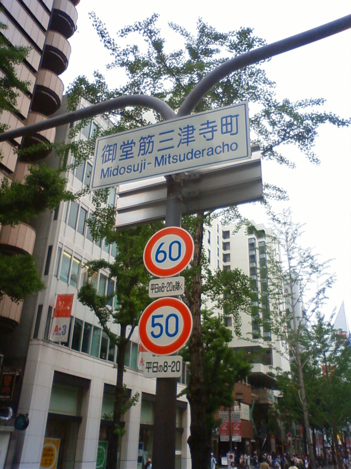 NEC_0602.JPG