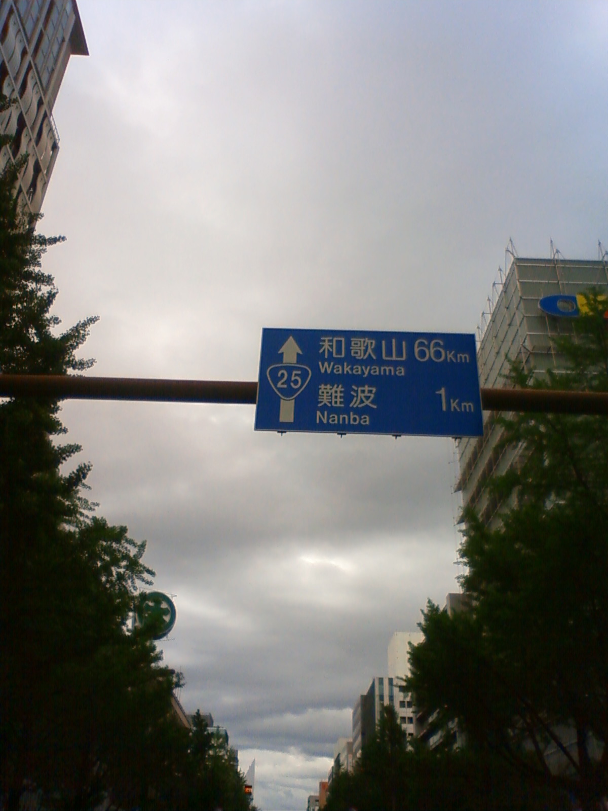 NEC_0604.JPG