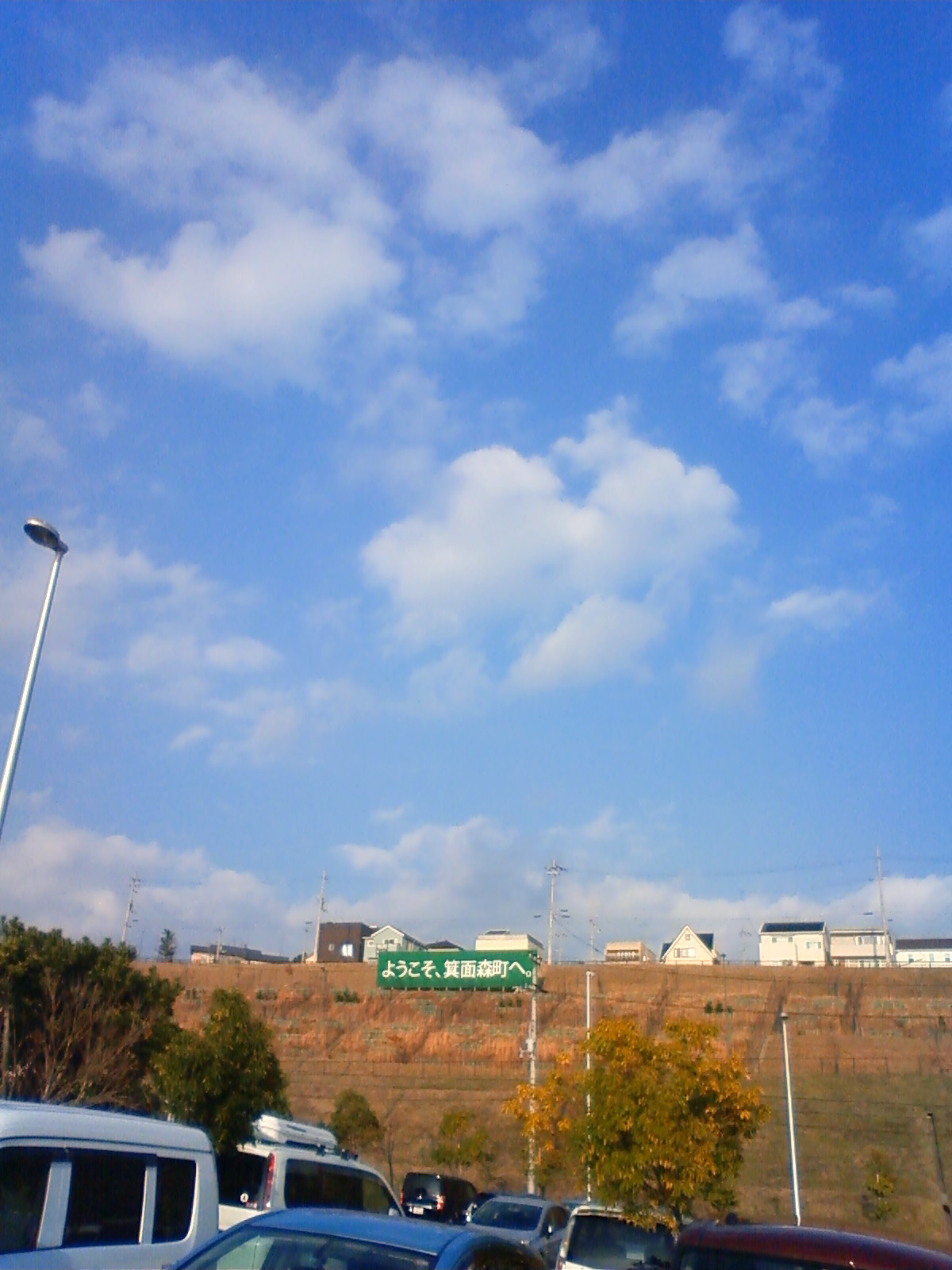 NEC_1695.JPG