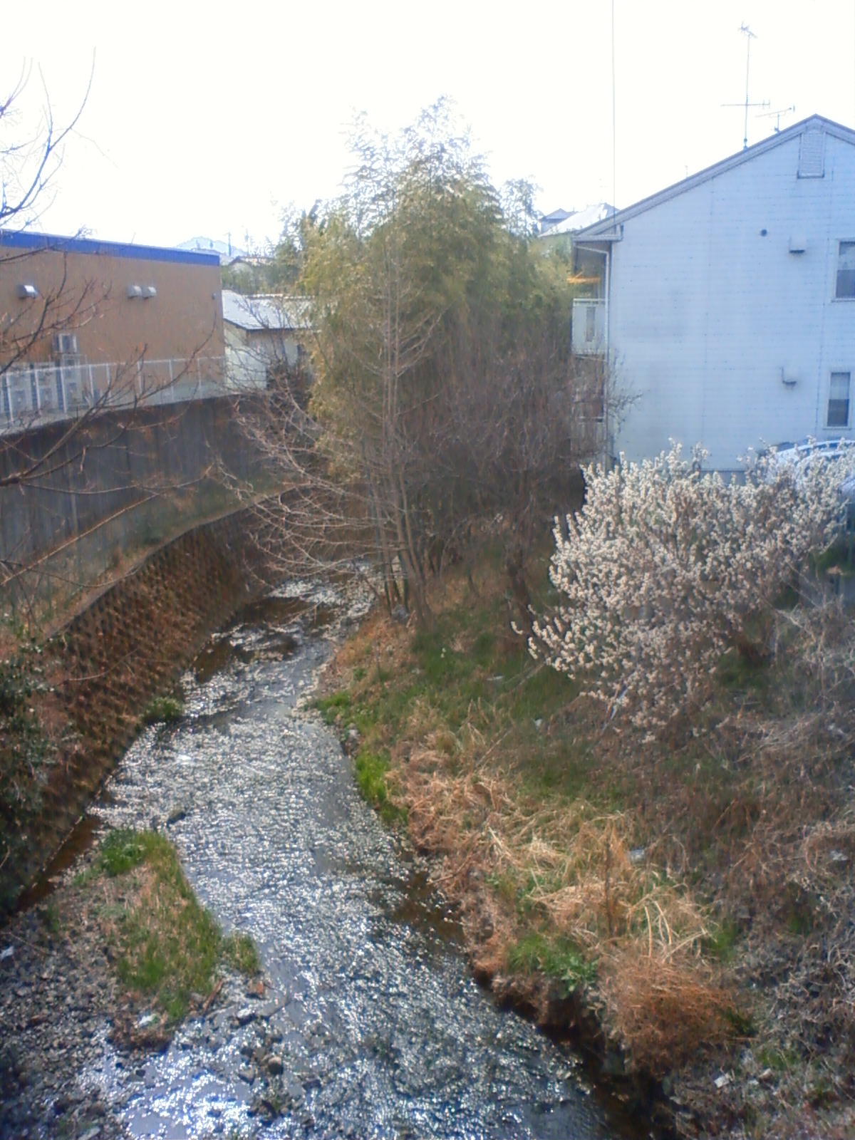 NEC_0165.JPG