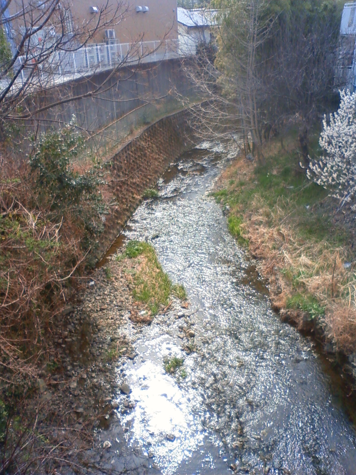 NEC_0167.JPG