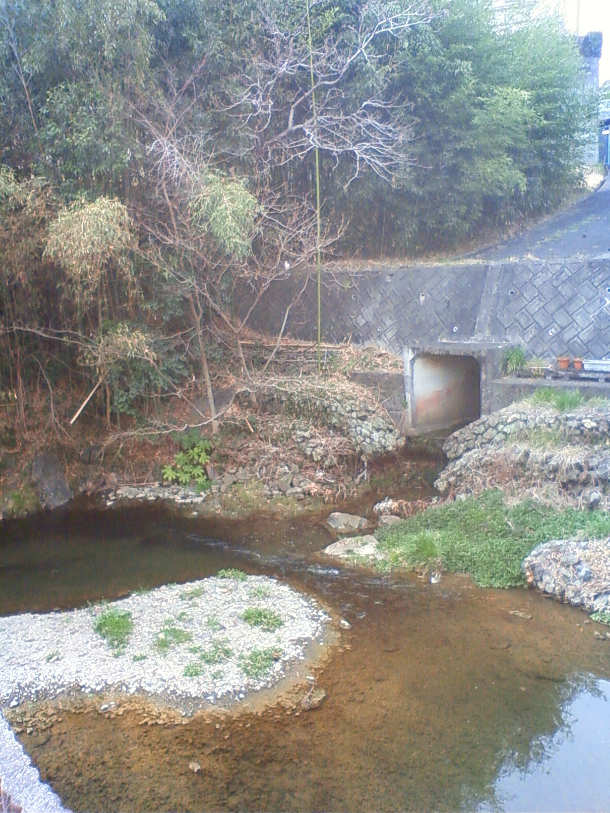 NEC_0170.JPG