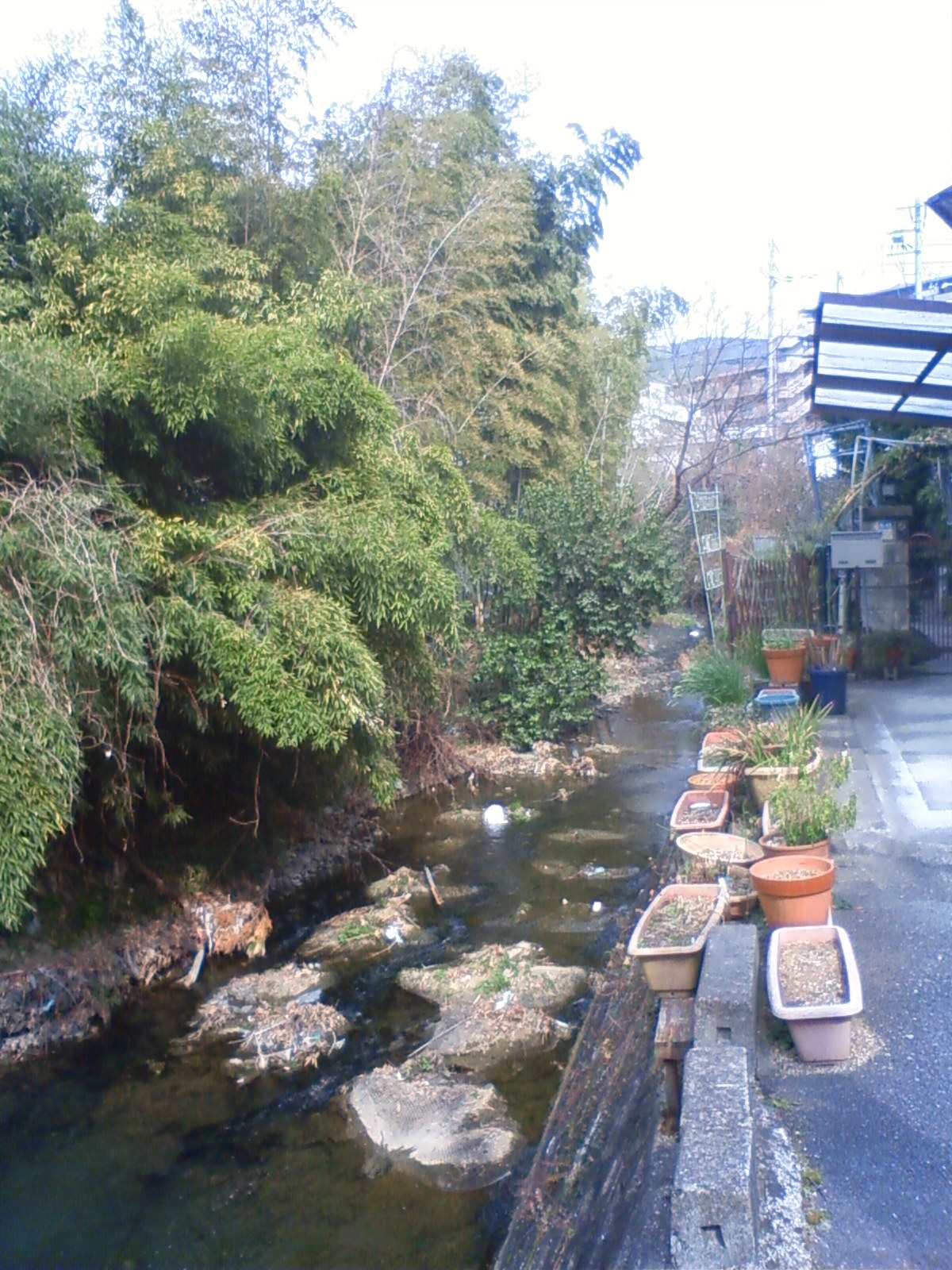 NEC_0172.JPG