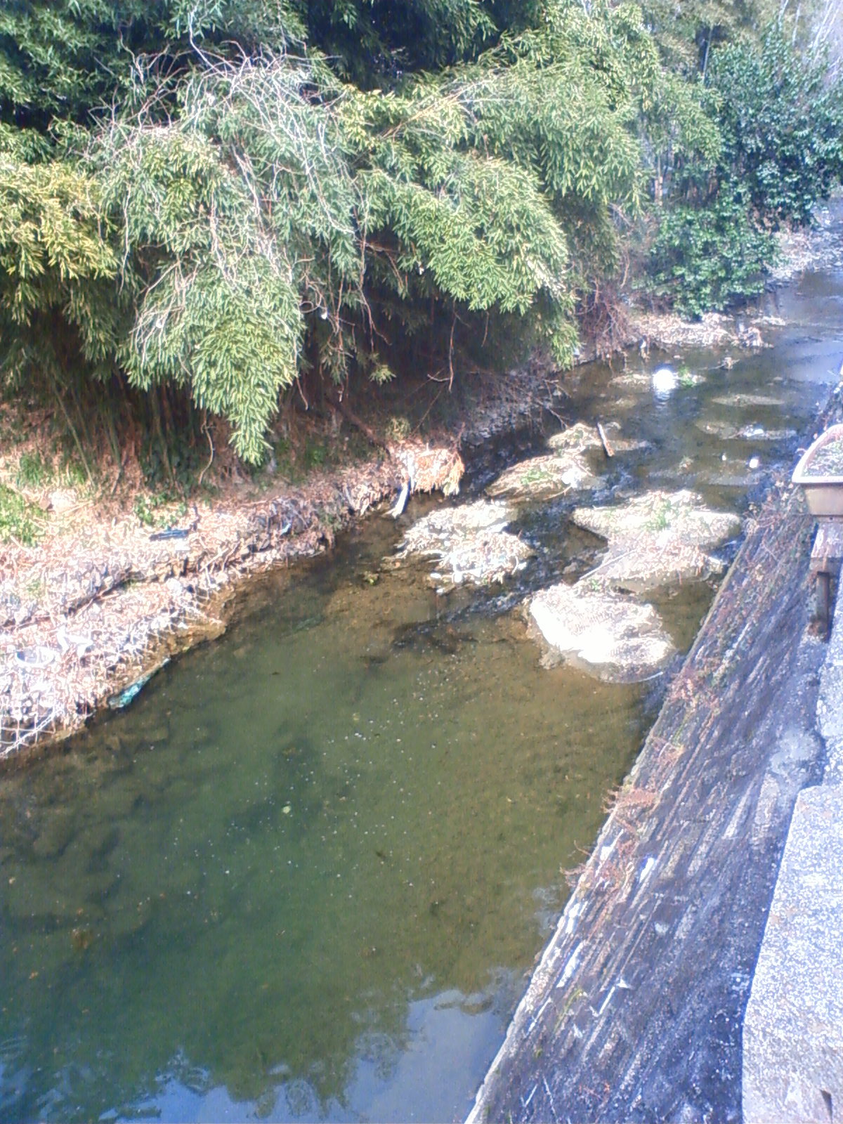 NEC_0173.JPG