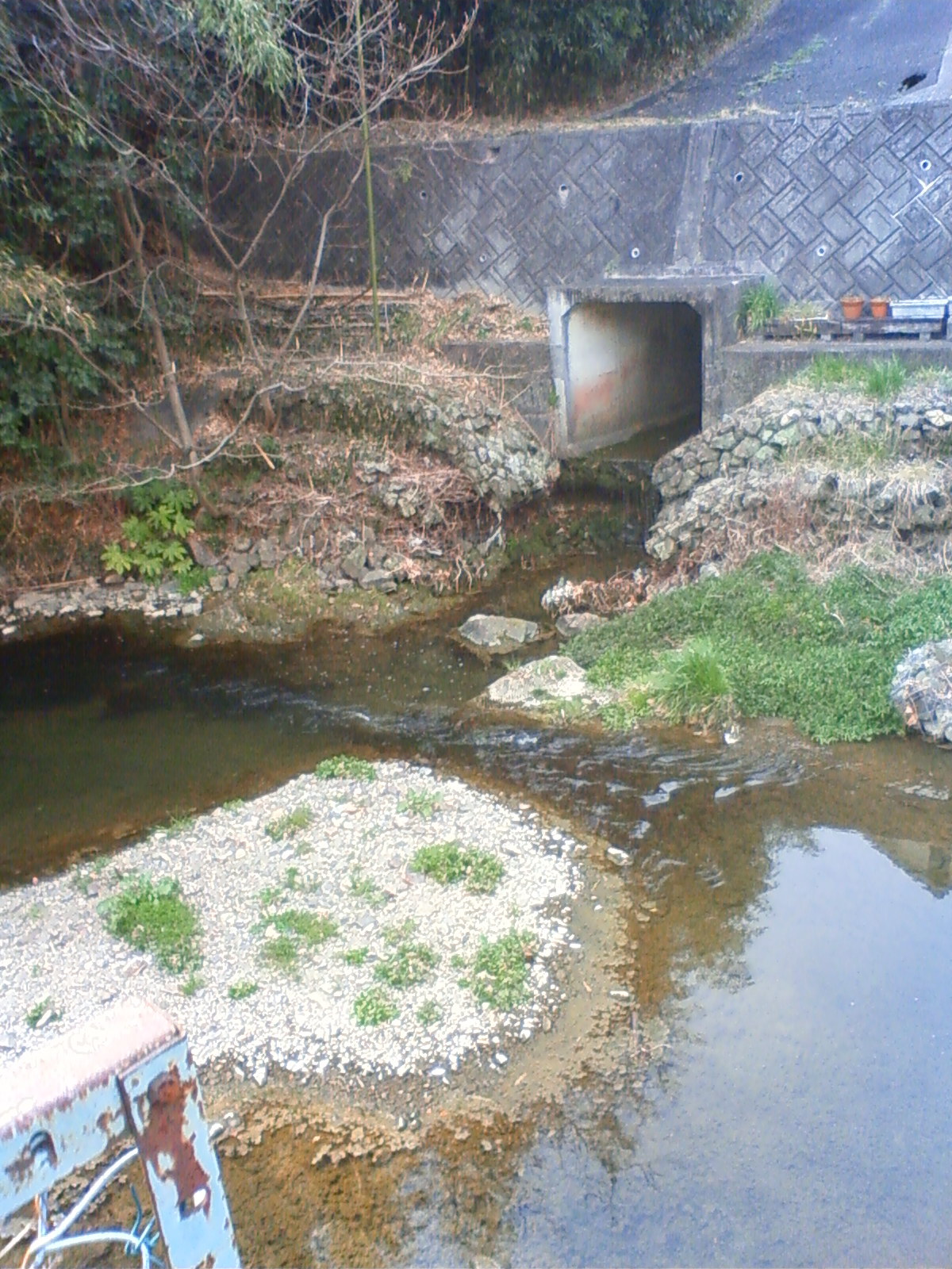 NEC_0175.JPG