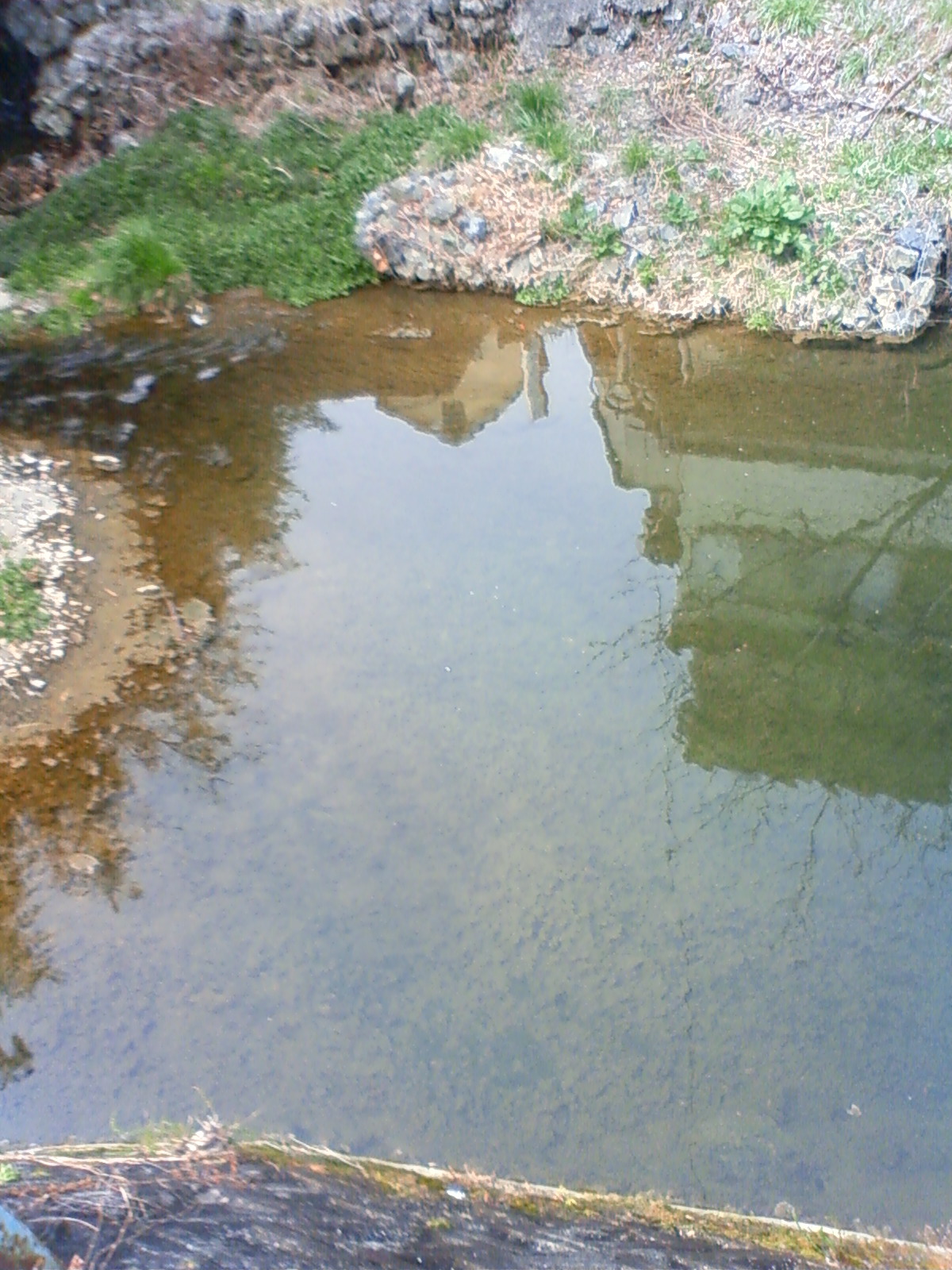 NEC_0176.JPG