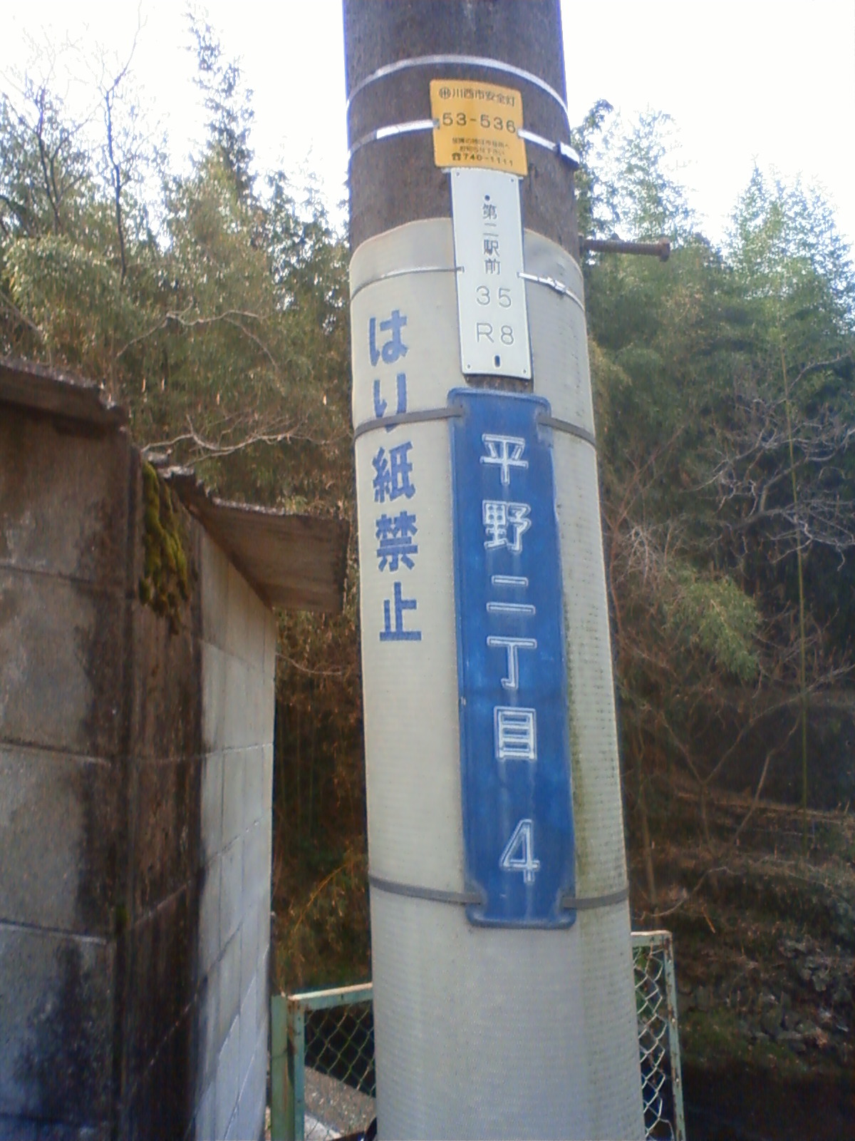 NEC_0177.JPG