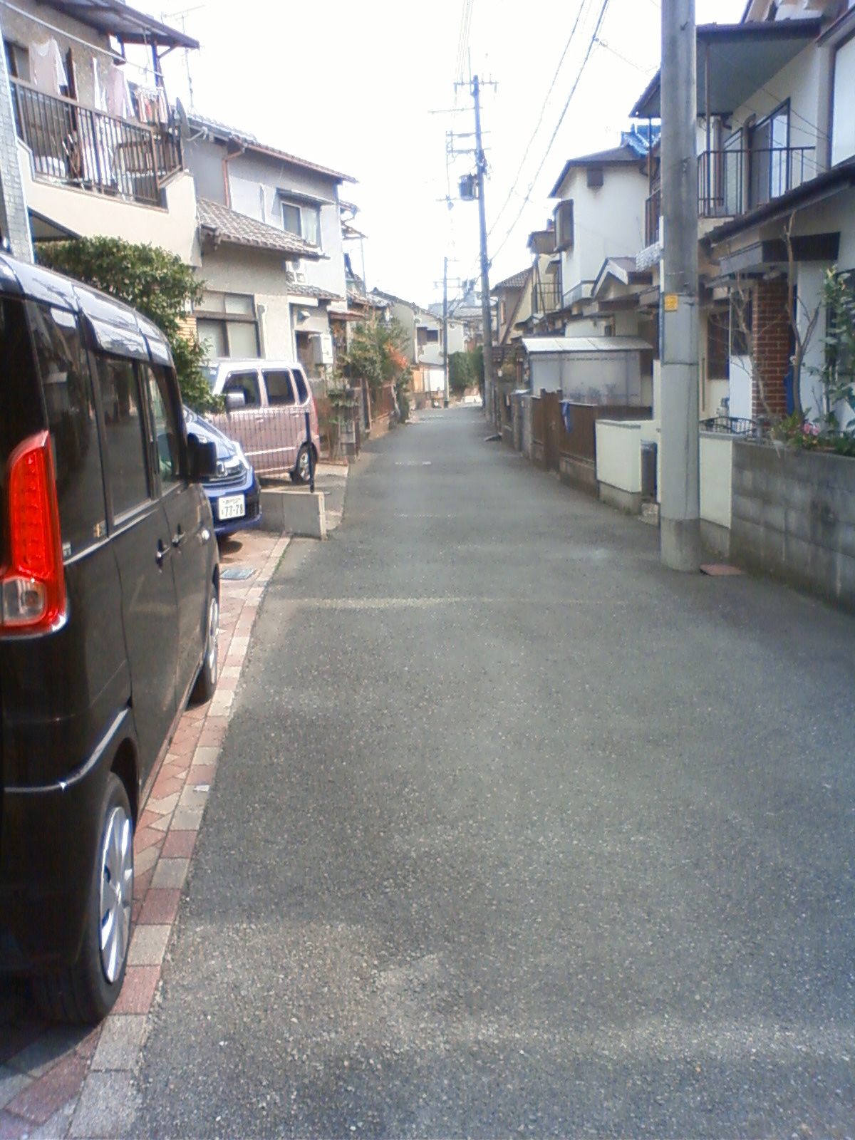 NEC_0179.JPG